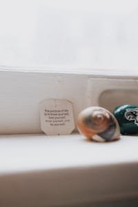 Motivational quote by window with seashell and painted stone in soft natural light.